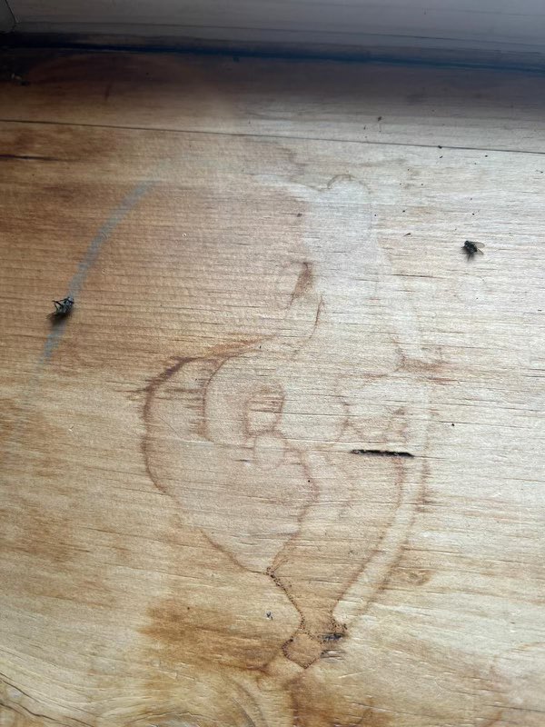 salteemilk's tweet photo. Airbnb files false charges against you if you complain about superhosts. This was the condition of our Airbnb - and Airbnb charged US for cleaning fees … @airbnb https://t.co/rnLYkZh2Xl