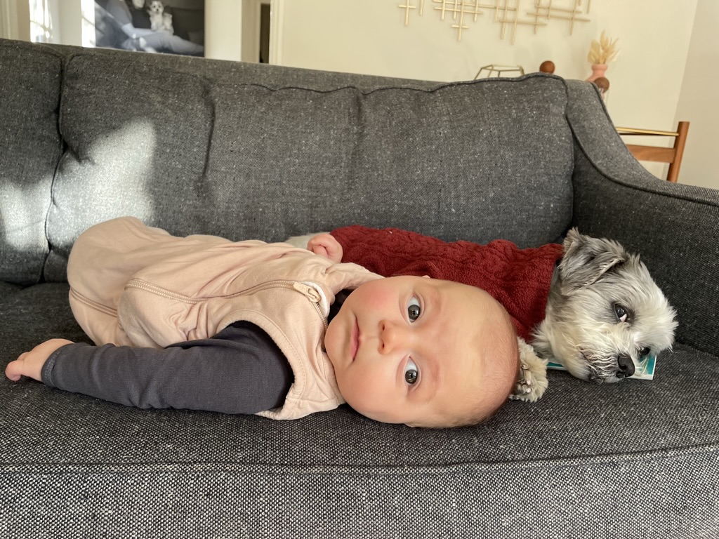 I want to meet senior software engineers in LA with product management and team leadership experience who might be interested in joining a seed-funded climate tech startup in its earliest stage. 

ALL races, genders, and walks of life are encouraged to inquire. 

Discretion is