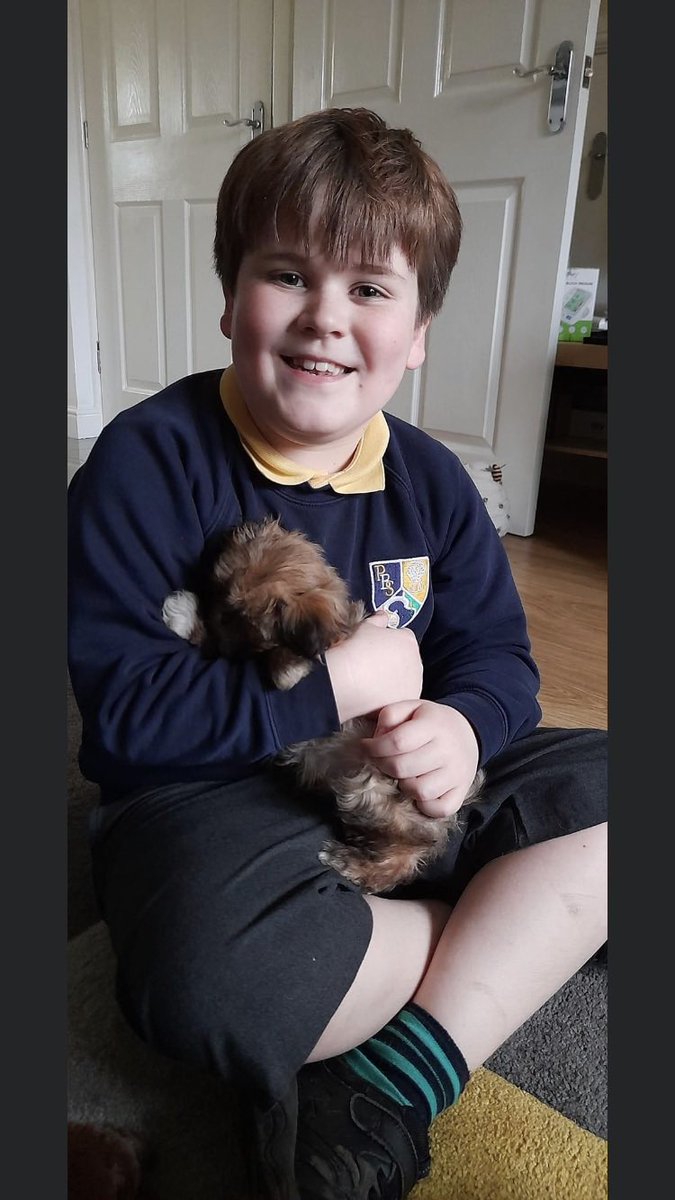 Meet the newest member of the family, Milo 🥰 all family love him xx