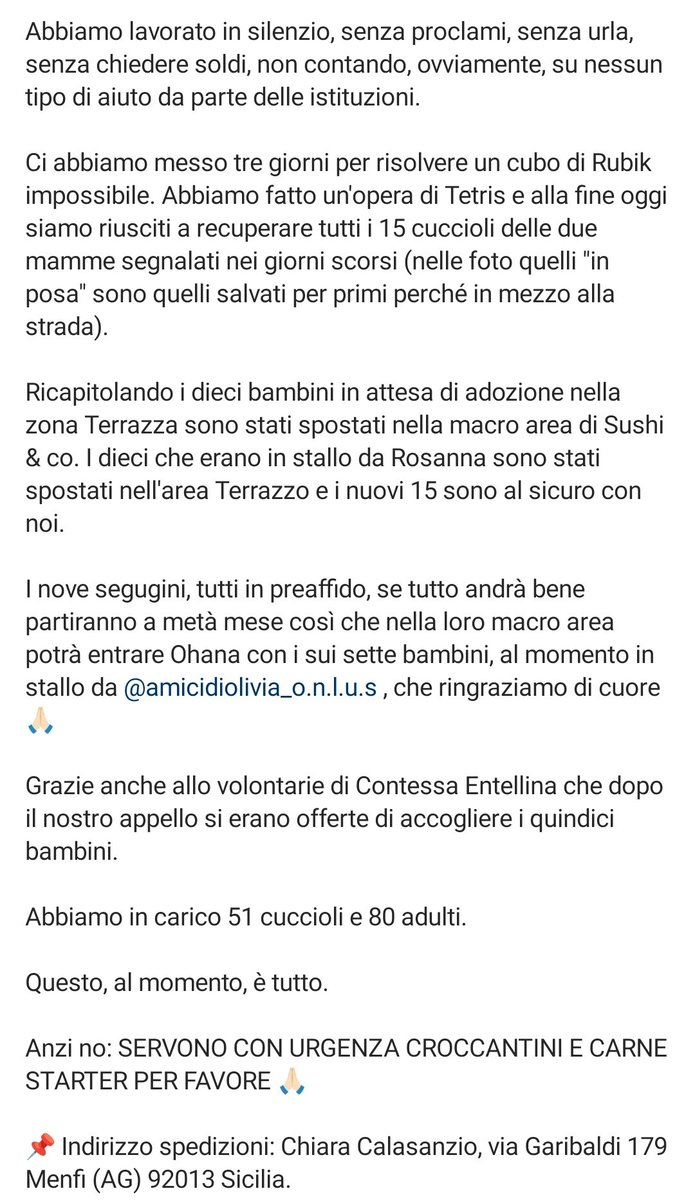Associazione Ohana: i pelosi di Chiara tweet media