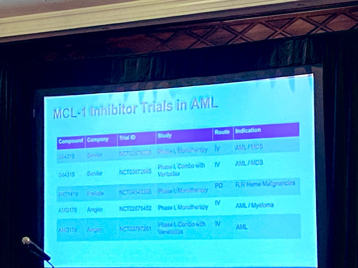 doctorpemm's tweet photo. Fantastic talk this am by Prof @TapKadia on Overcoming resistance &amp; Targeted therapies in AML : future directions &amp; new ideas 💡 || #TP53 #CDK9 #MECOM #TBL1 #leusm | #davawhistler @DAVAOnc https://t.co/qZNo3Se6O6