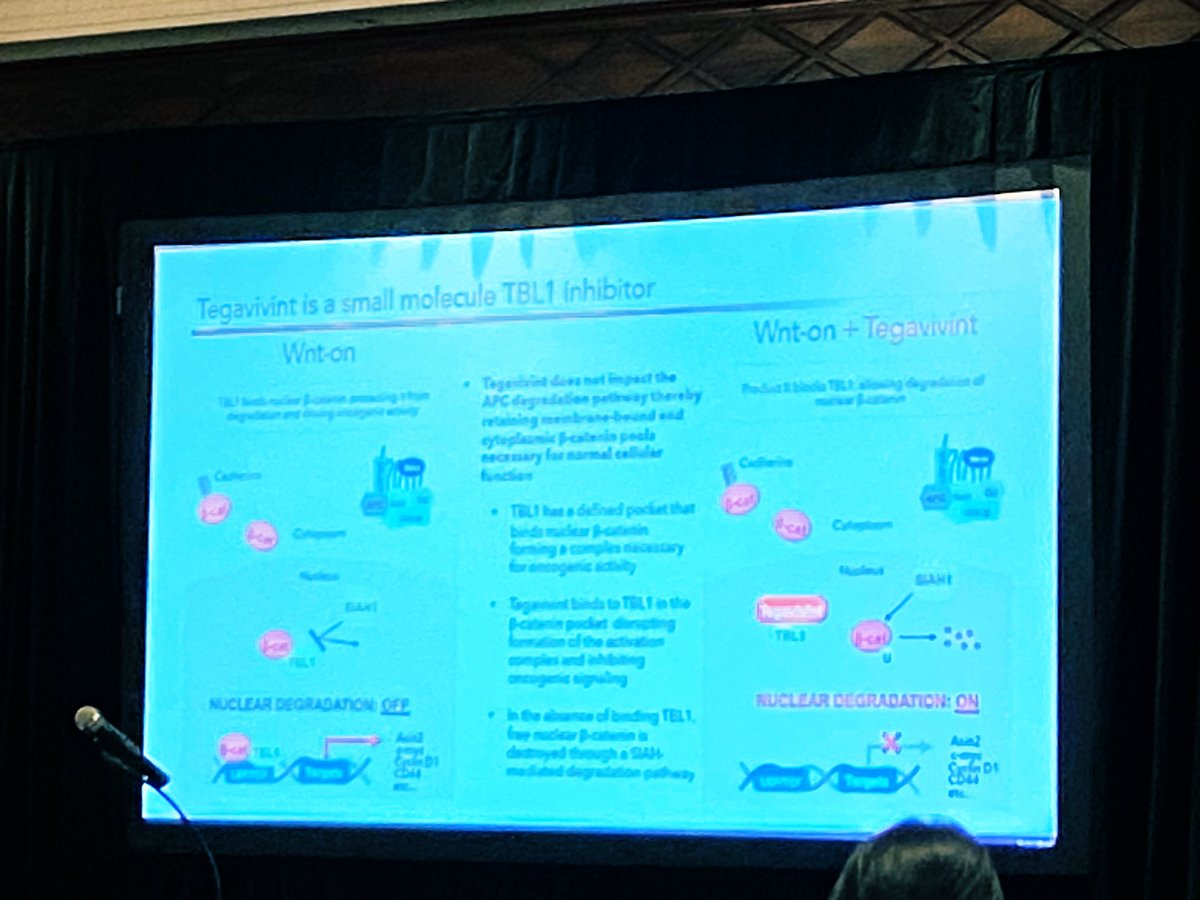doctorpemm's tweet photo. Fantastic talk this am by Prof @TapKadia on Overcoming resistance &amp; Targeted therapies in AML : future directions &amp; new ideas 💡 || #TP53 #CDK9 #MECOM #TBL1 #leusm | #davawhistler @DAVAOnc https://t.co/qZNo3Se6O6