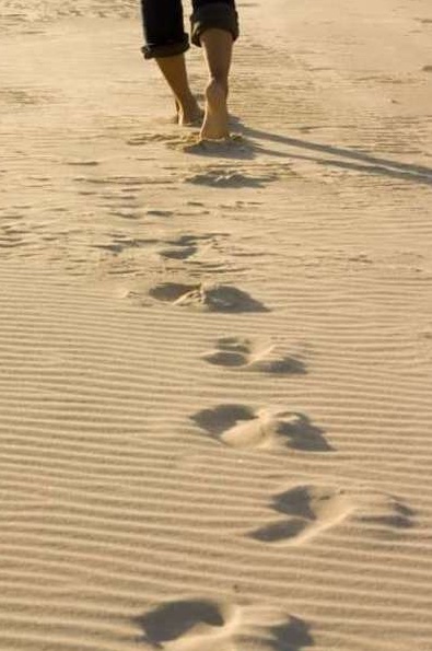 PasteurWJoutet's tweet photo. Alors que tu traverses la vallée de l'inconnu, tu trouveras toujours devant toi et derrière toi les empreintes des pas de Jésus! Il est là à tes côtés, devant et derrière toi pour te dire: mon enfant, je t'aime n'aie pas peur. Matt 28:20 https://t.co/c8U3fgp3lM