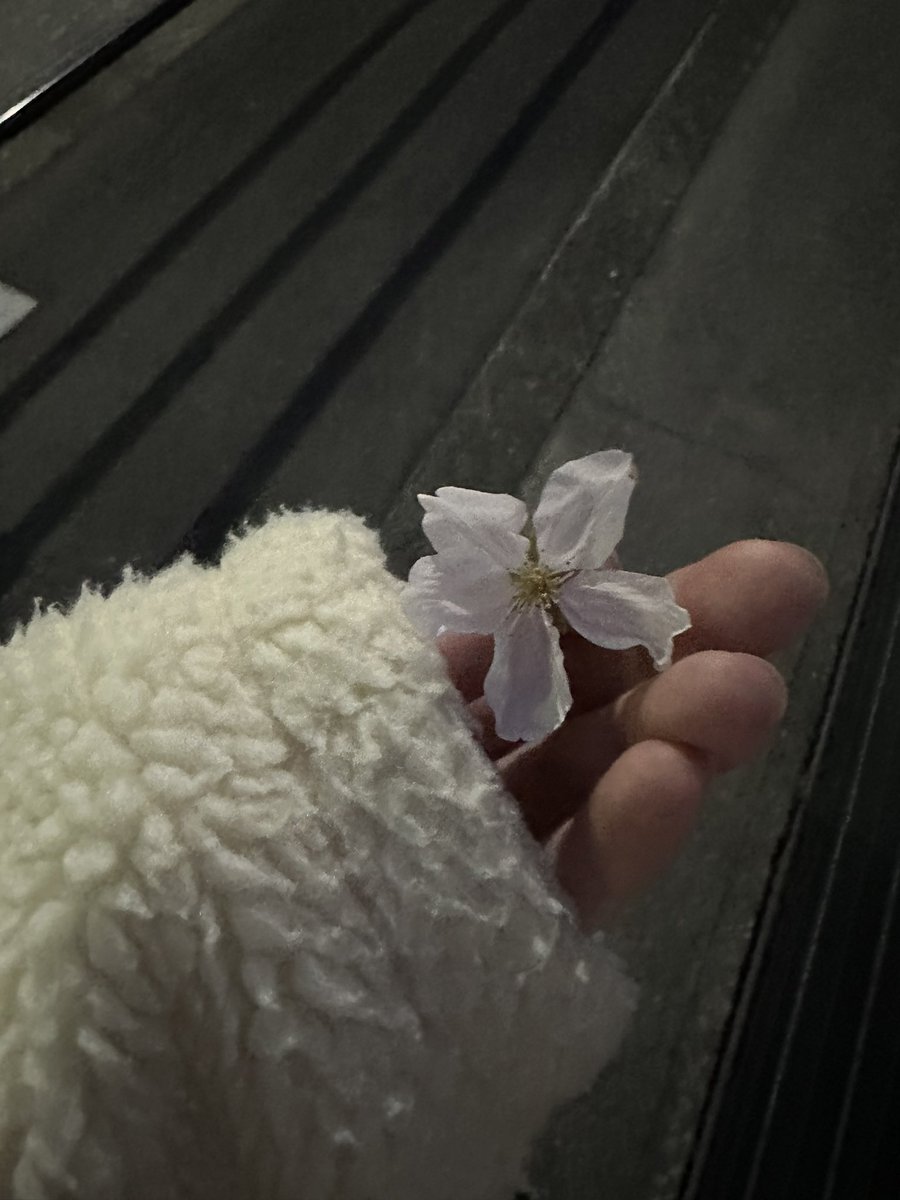 ho4shor's tweet photo. SAKURA🌸　@TheVampsJames https://t.co/5kPQVRZmV4