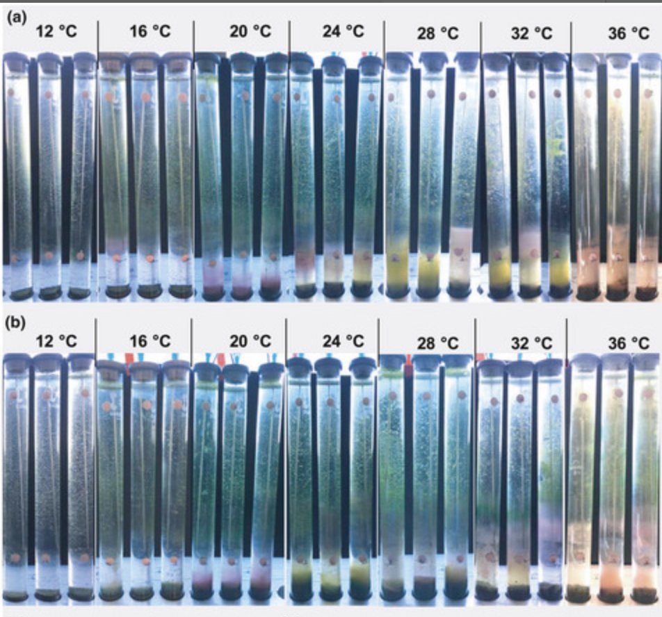 SuleimanMarcel's tweet photo. The power of pictures :) #Winogradskycolumns #topdownload #OpenScience https://t.co/XDXmoJalja