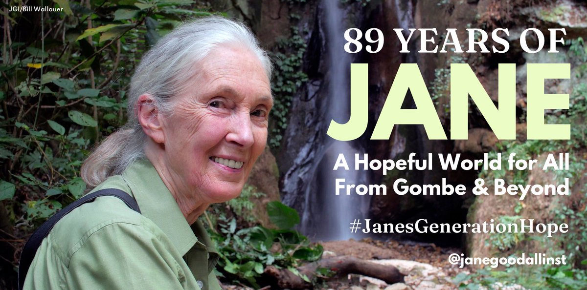 JaneGoodallInst's tweet photo. Jane’s birthday is this MONDAY 4/3!! Join #JanesGenerationHope to support groundbreaking science in Gombe where it all began, and join the global JGI movement demonstrating how much we can do together for a better future -  https://t.co/IO2gboUjDz

#earthmonth https://t.co/3C7CAKgLYm