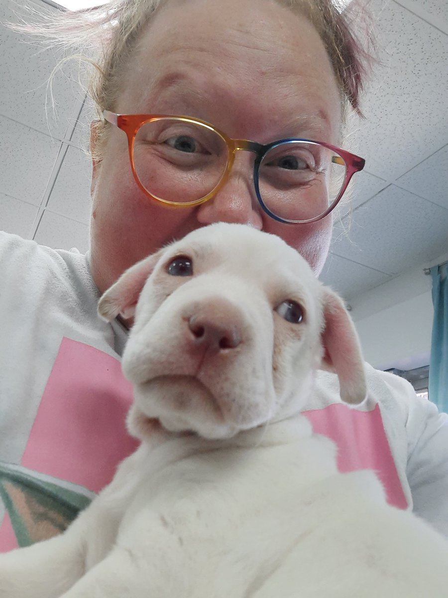 SmoakandAsh's tweet image. If you&apos;d like, everyone say hello to Mando. He&apos;s home &amp;amp; in his new bed &amp;amp; has met all his new siblings &amp;amp; is just plum wore out. 💚 #puppymom #newpuppy #adoption