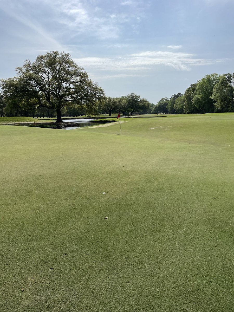 squito15's tweet photo. I’m getting my ass kicked rn. #CharlestonMuni #Windyyyy https://t.co/3pwtNLwUKQ