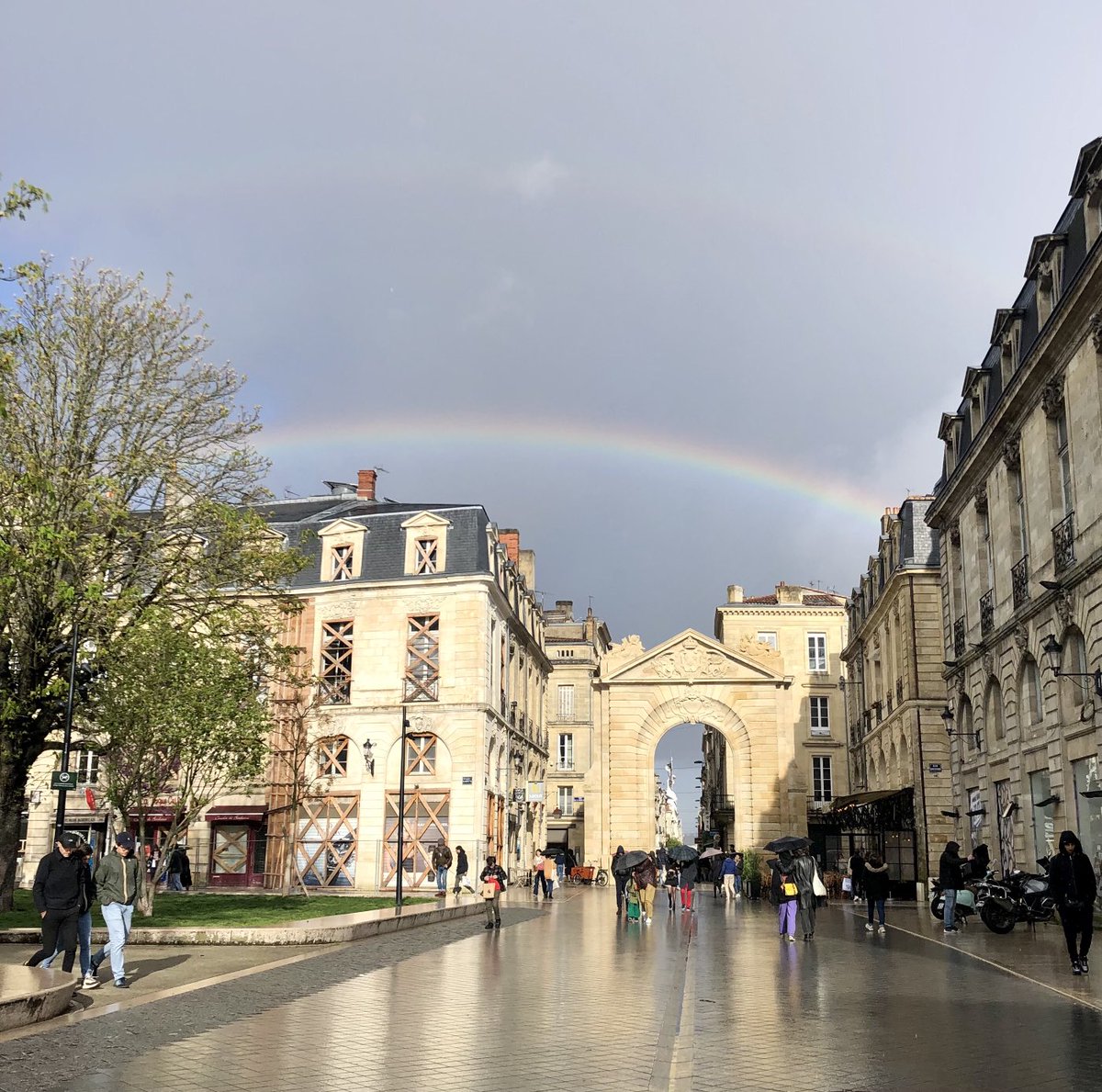 Elise Doucas tweet media