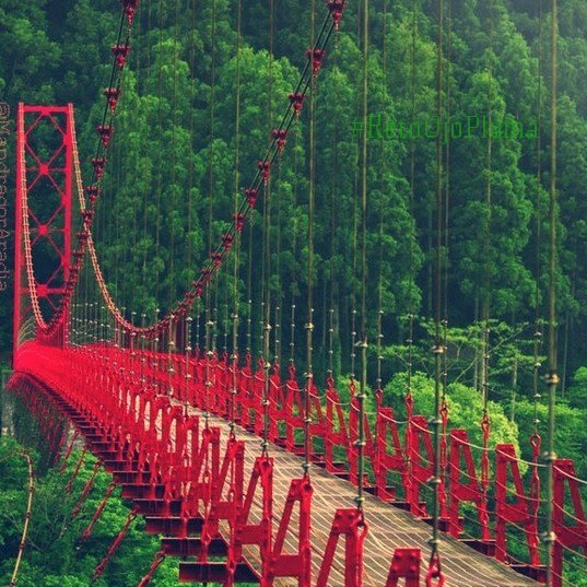 <a href="/jimnez_silvia/">Silvia Luz Jiménez 🪴</a> Solo, sin ti 
amanezco perdido 
en mil lamentos.

#senryu enlazados 
#LosSenryu 

👇👇

<a href="/canva/">Canva</a> <a href="/pixabay/">Pixabay</a>