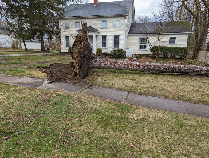 2 massive freaking trees blew over just 2 houses down from mines, luckily noone was hurt but it is absolutely<a href="/tag/storm"class="tags"><span>#storm</span></a><a href="/tag/crazyweather"class="tags"><span>#crazyweather</span></a>