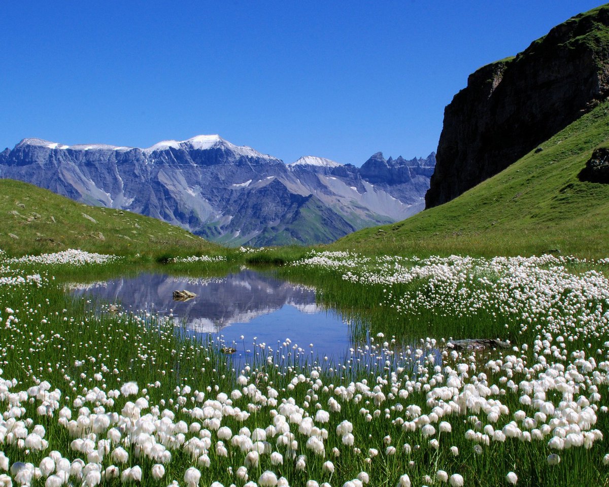 2.stavka (@2_stavka) on Twitter photo 