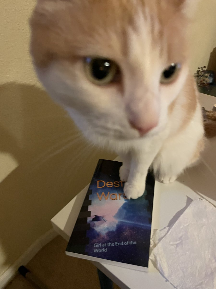 KatePhyre's tweet photo. @thetaoishway #read this one #DestinyWars #scifi thriller, alien tech, dark secrets, power hungry agents, #friends2lovers and more π https://t.co/diETQ6VK2K