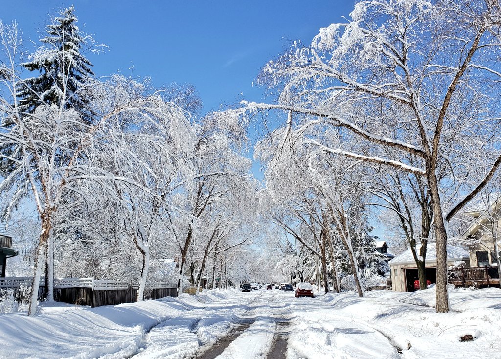 Saar0323's tweet photo. After an April snowfall. Minneapolis, Minnesota this morning. @StormHour @ThePhotoHour @NWSTwinCities https://t.co/SoJO2C48pH