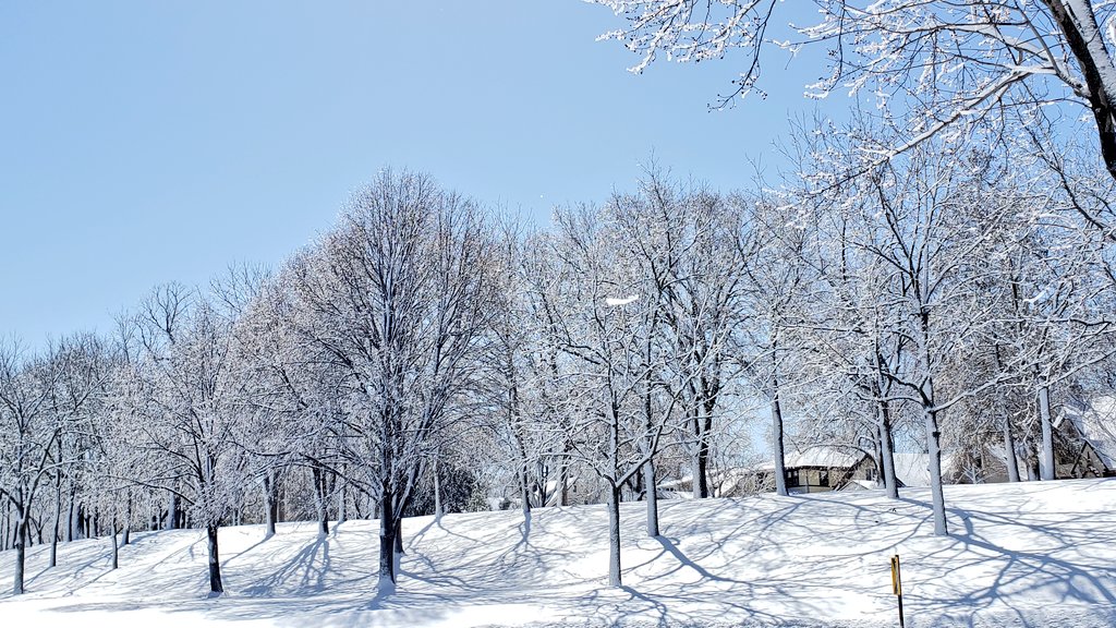 Saar0323's tweet photo. After an April snowfall. Minneapolis, Minnesota this morning. @StormHour @ThePhotoHour @NWSTwinCities https://t.co/SoJO2C48pH