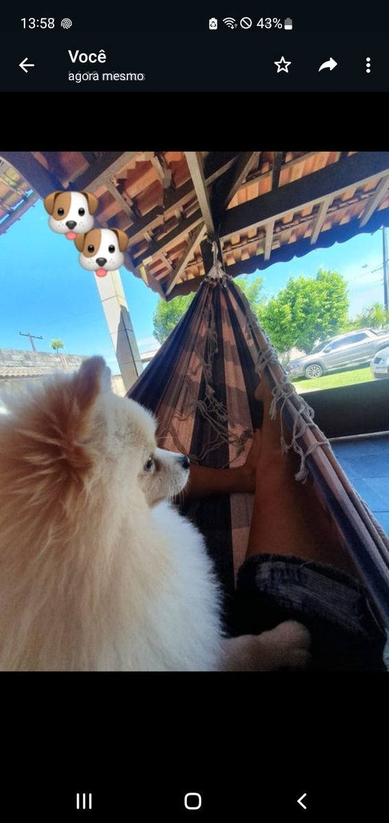 PadreValda's tweet photo. Existem momentos tão mágicos e especiais que o ideal é  simplesmente admirar e curtir.
Meu amorzinho ❤❤❤ https://t.co/aXrLE1FnBG
