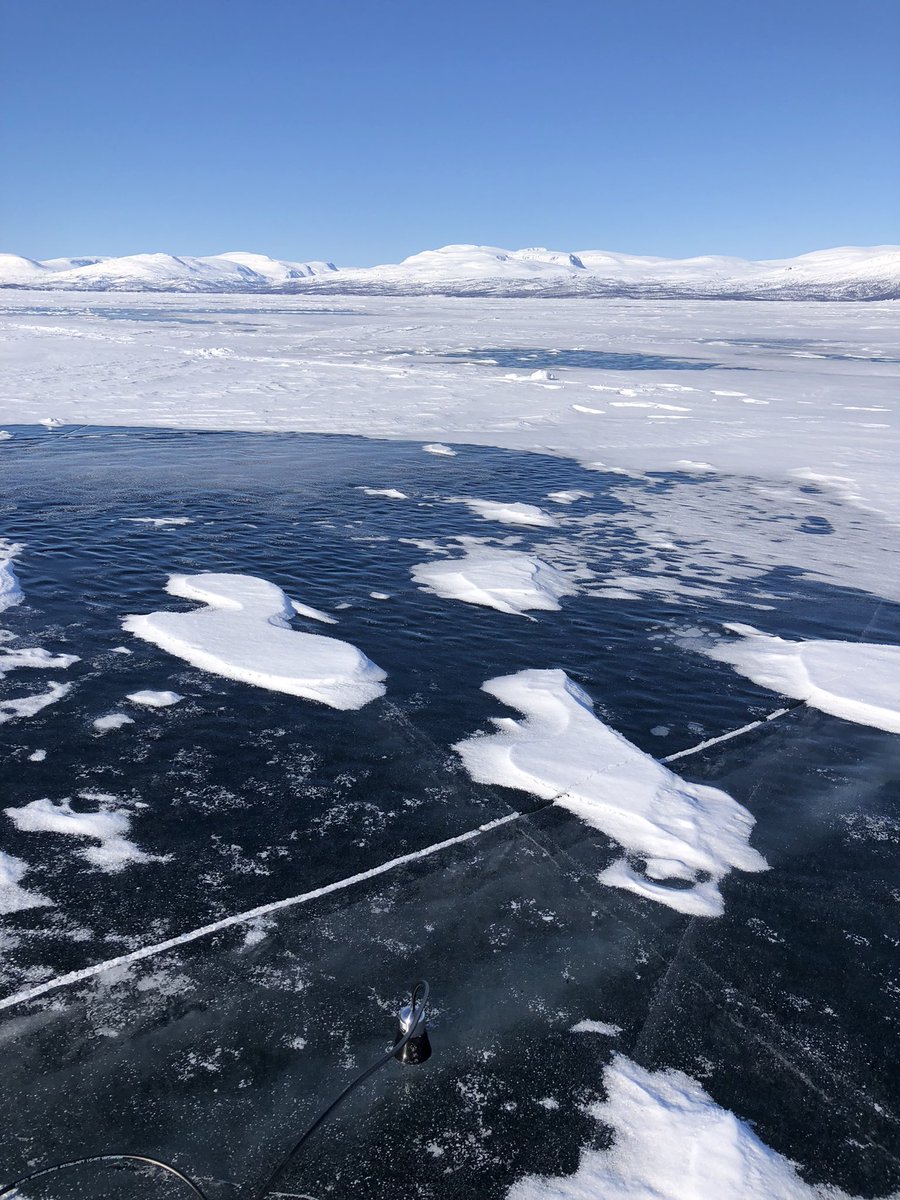 Udit Duseja tweet media