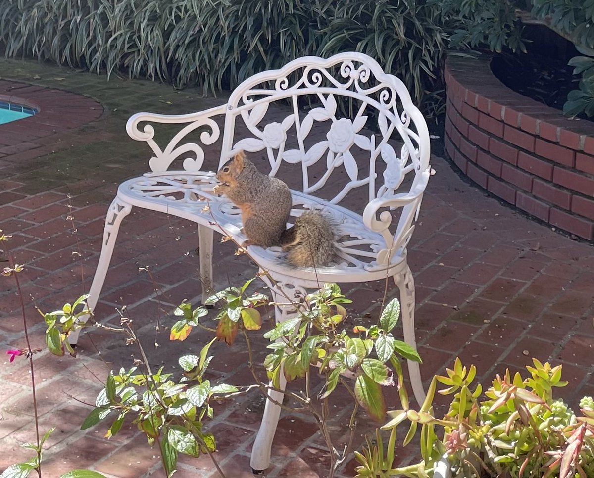 Michael McKean tweet media