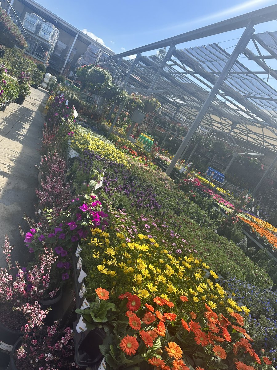 Jose Lopez tweet media