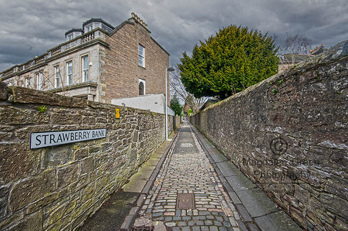 MagdalenGreen's tweet image. Love #cobbledlanes ? I do - here is a #wideangle view of one of my favourites #strawberrybank #dundeewestend #magdalengreen @VisitScotland @dundeecity #cooldundee #Scotland