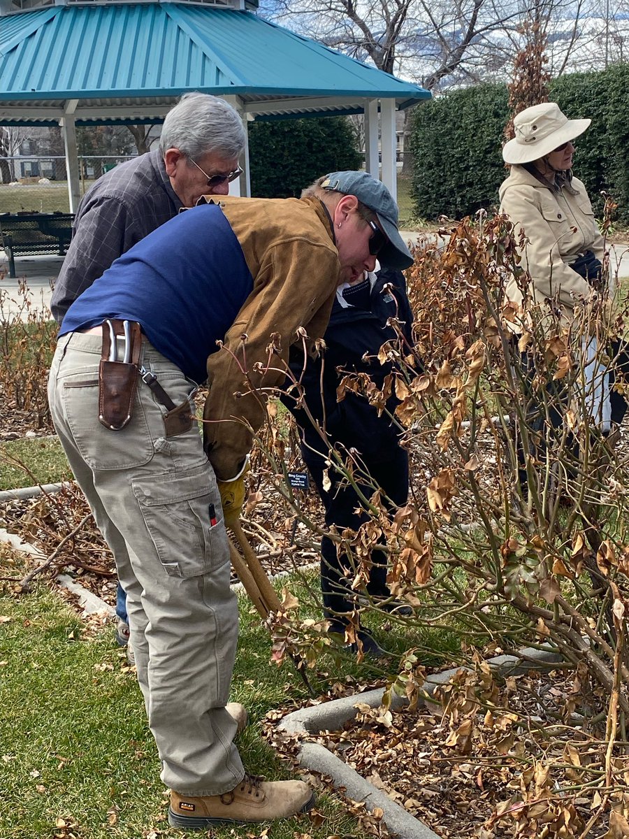 OurTownReno's tweet photo. #Reno Rose society giving pruning demonstrations today at the Idlewild Rose garden #keeprenogreen photos by @V_4Vazquez https://t.co/KXIrh91t3Y