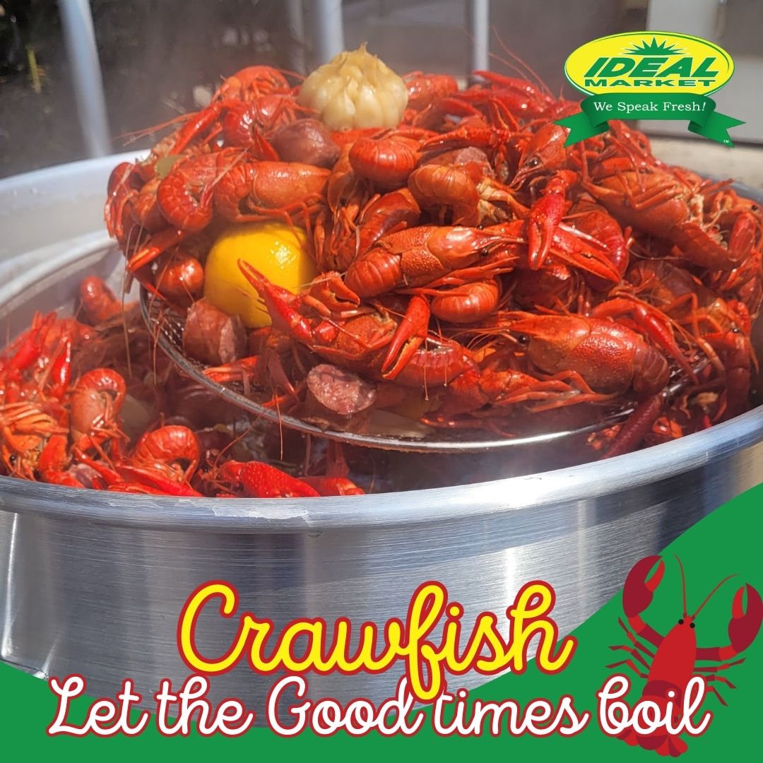 Everything you deserve to enjoy tasty crawfish is in one place!
Come to Ideal Market and get the best crawfish of the season!

#crawfish #crawfishboil #crawfishseason #crawfishtime #idealmarket #IdealMarket #WeSpeakFresh #wespeakfresh #fresh #neworleans #neworleansfood