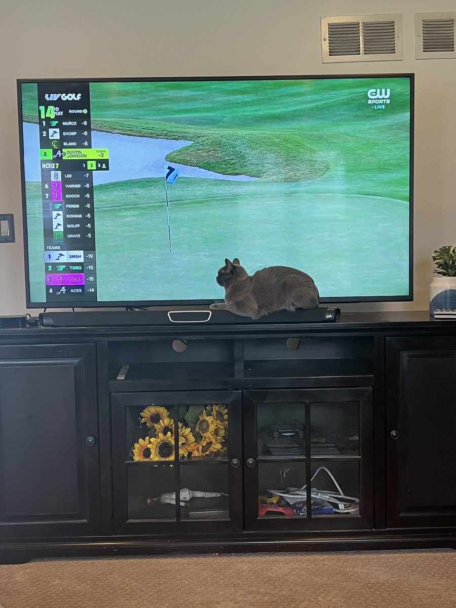 datastory86's tweet image. Cool Cats Watching LIV Golf from The Chi. #livgolf