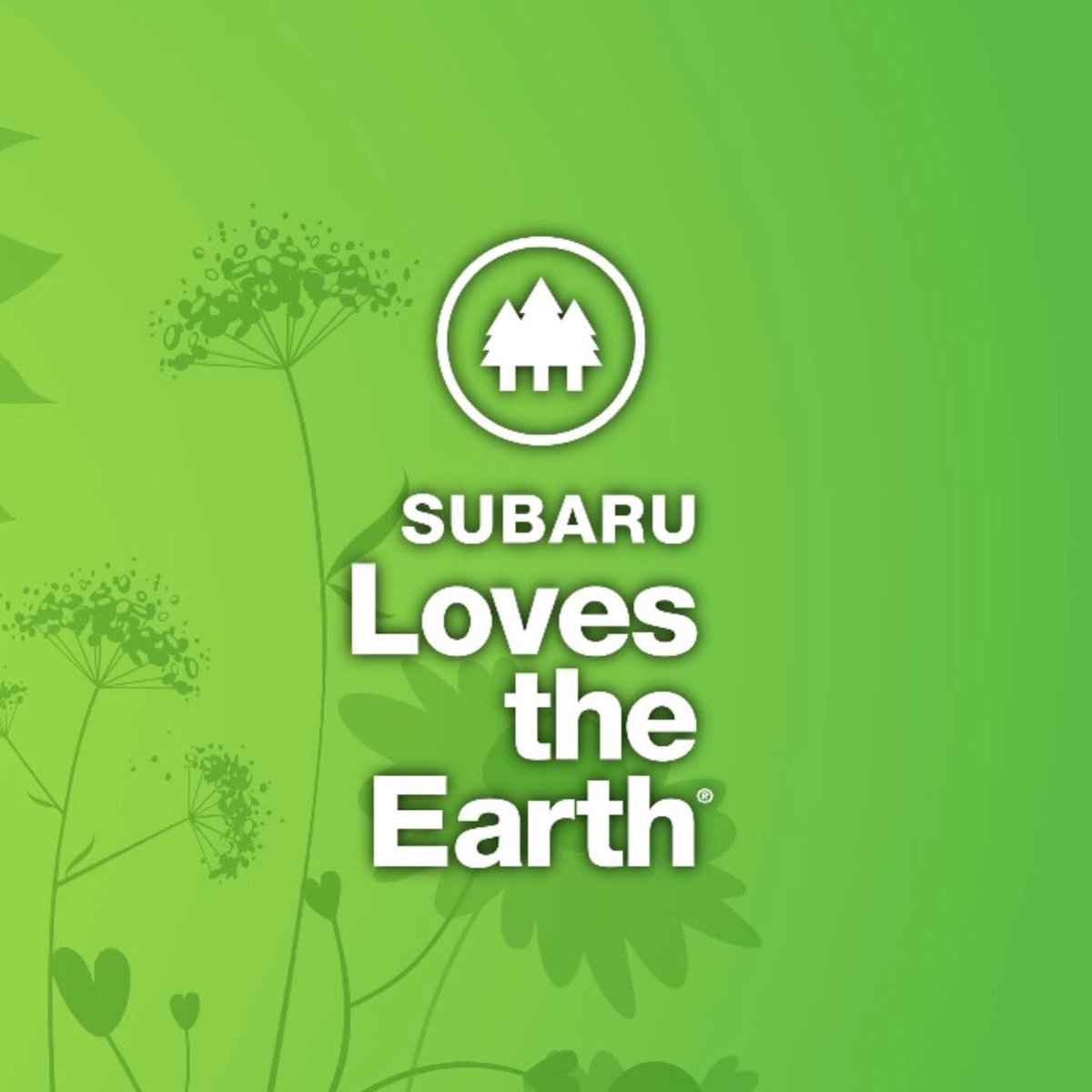 subaru_sb's tweet photo. This month is the #subarulovestheearth commitment. Our dealership will be helping reduce waste and safeguard resources for future generations to preserve natural spaces. https://t.co/z5nPH1szND