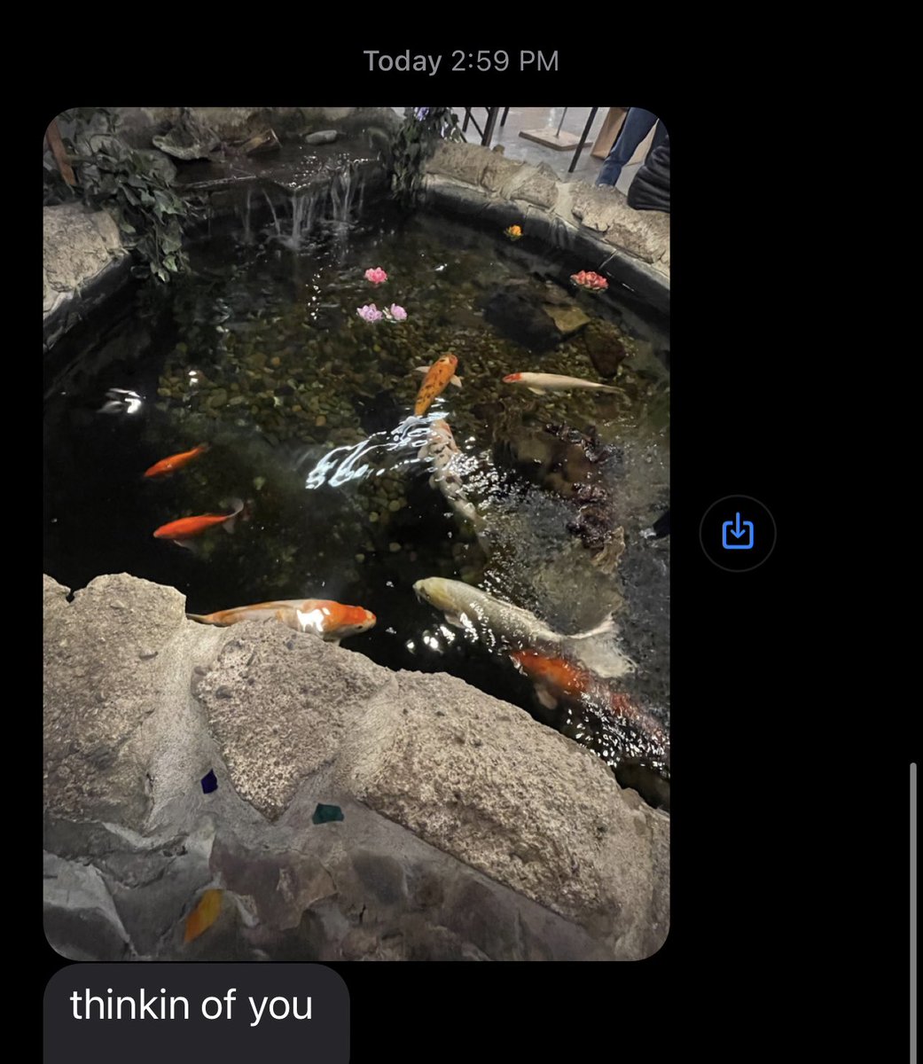 iidlua's tweet image. 🏄🏻‍♂️🌐☁️ ✨🎏