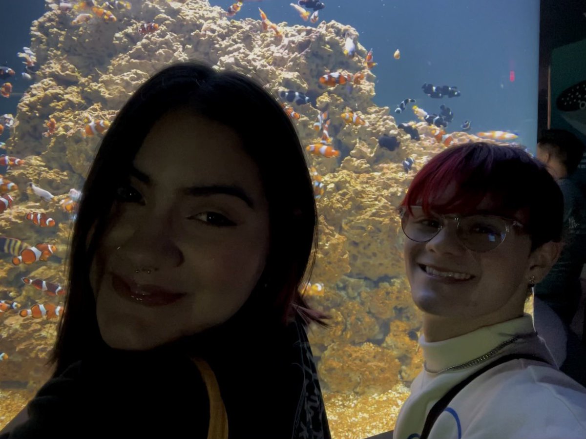 iidlua's tweet image. 🏄🏻‍♂️🌐☁️ ✨🎏