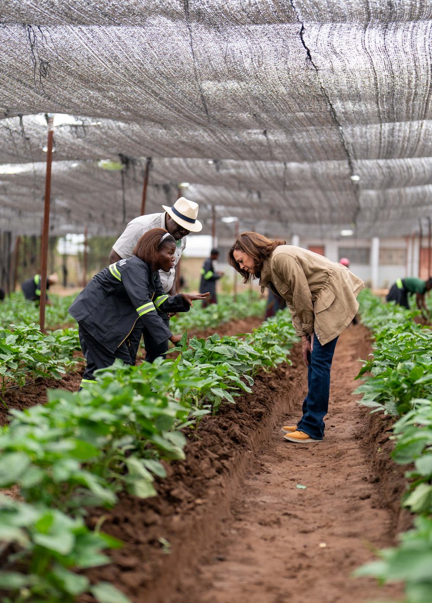 Africa Updates On Twitter RT VP Panuka Farms In Zambia Is A Model africa-updates-on-twitter-rt-vp-panuka-farms-in-zambia-is-a-model