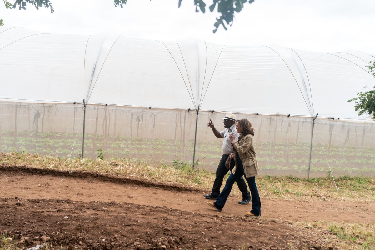 Vice President Kamala Harris Archived tweet media