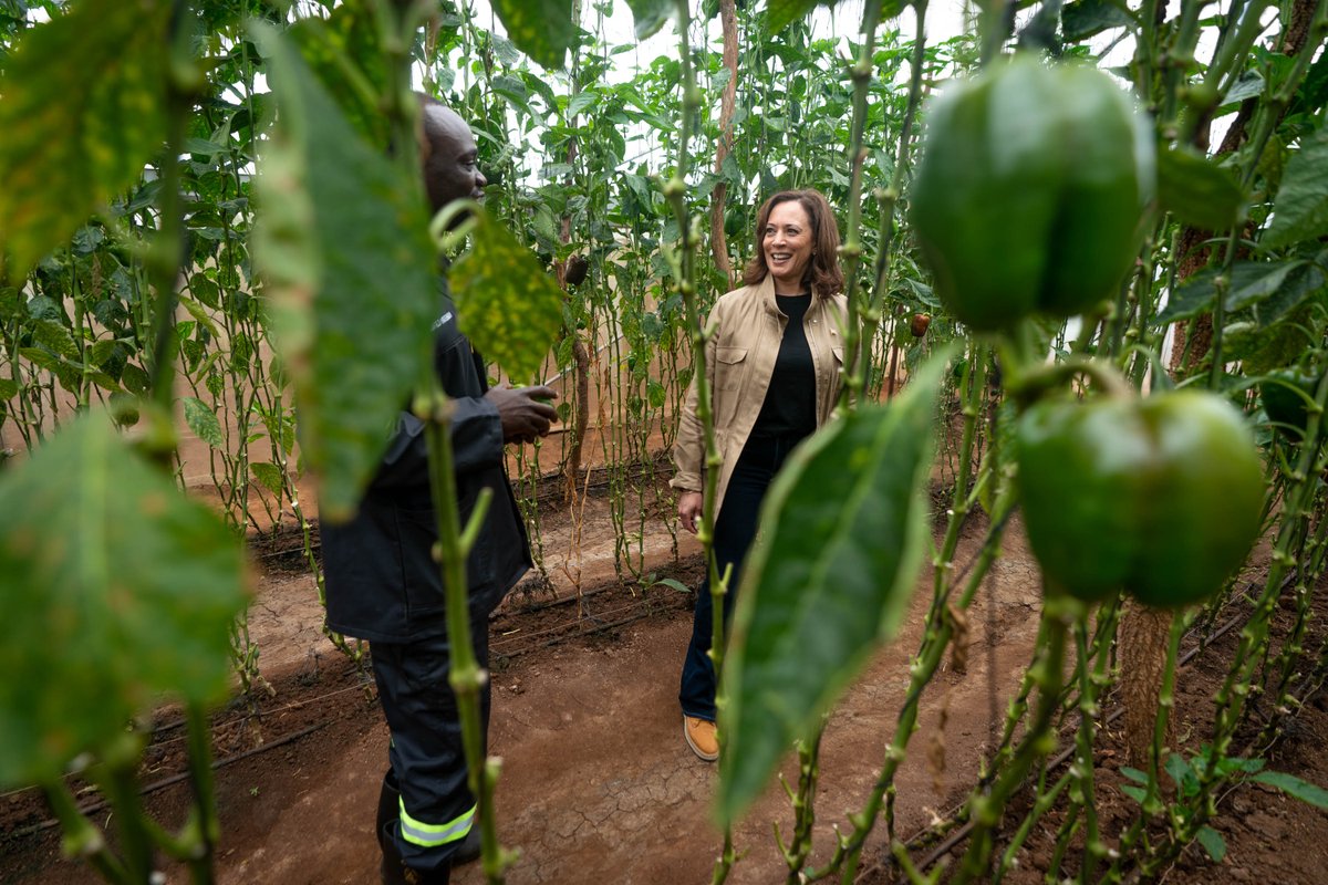 Panuka Farms in Zambia is a model for what we can do to counter the threat of climate change.
 
Locally owned and operated, they are using climate-smart agriculture techniques and digital tools to reduce water usage, keep produce healthier, and ensure food security.