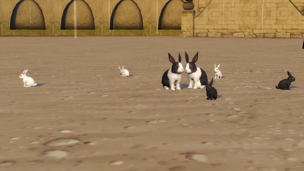 You asked for bunnies, so <a href="/SimChipped/">ChippedSim</a> and I are finally bringing you all the bunnies you deserve 🐇💙

Download at: frankkmods.com/#/mods/bunpoca…