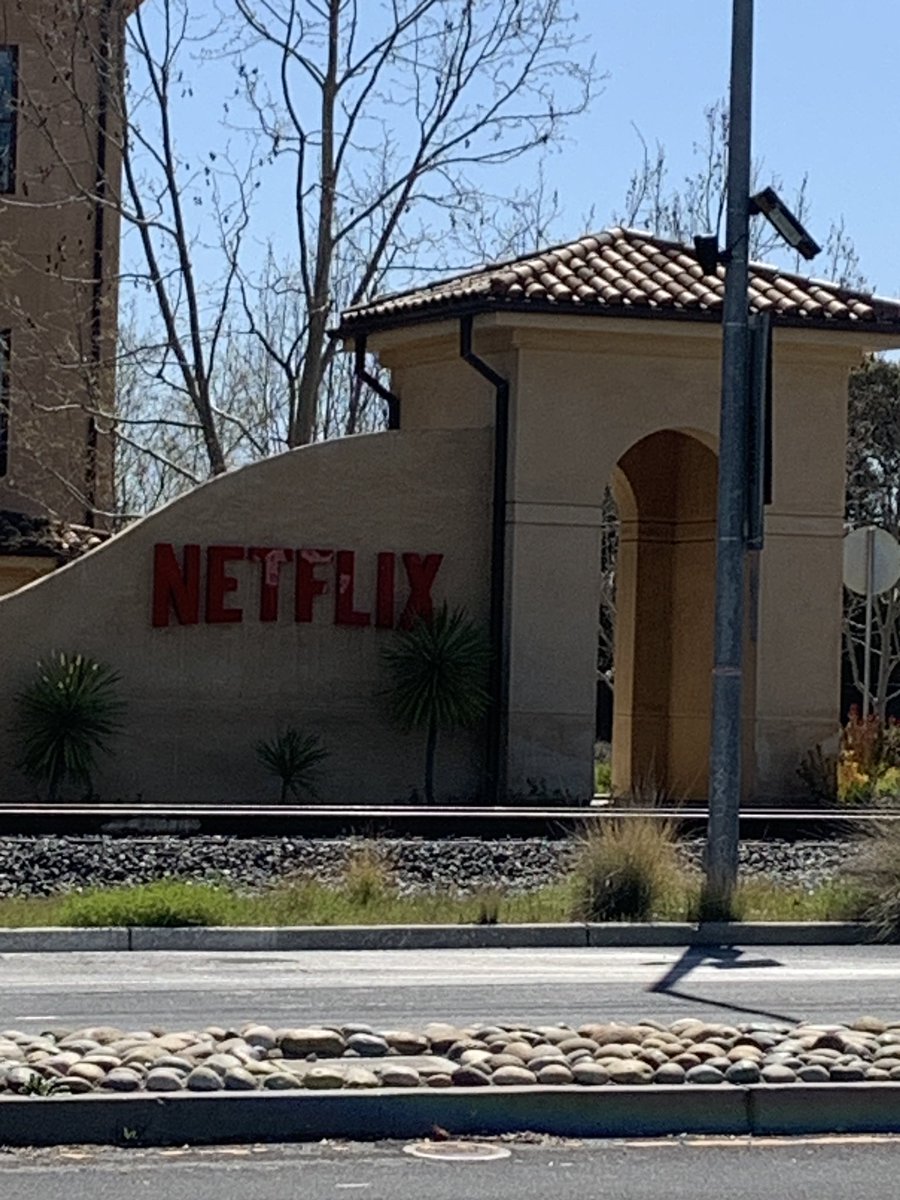 Dustykatt / ダスティキャット 🏳️‍🌈🌈🏴‍☠️ tweet media