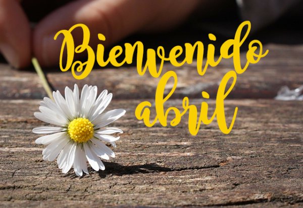 VargasMerluis's tweet photo. #01Abril 🗓️
@VargasMerluis 🏵️
#Sabado 
🏷️ #OfensivaMoral 
@jmhgomez1 @MamJosefina1 https://t.co/F3383hJWj4