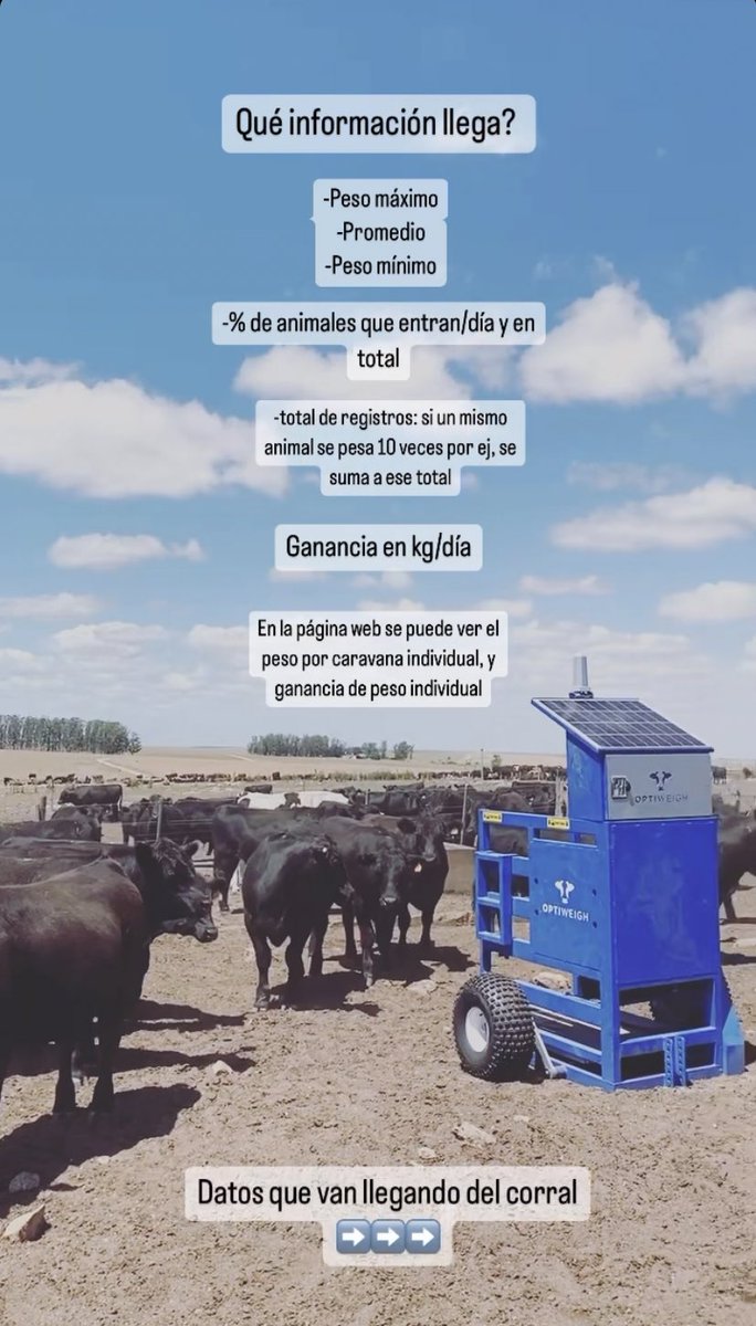 optiweigh_uru's tweet photo. Excelentes datos de novillos a corral💪🏼 https://t.co/iYqxahPN8q