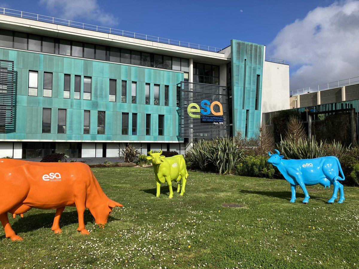 Toujours aussi agréable de pouvoir échanger avec mes collègues lors du Conseil d’Administration du @Groupe_ESA