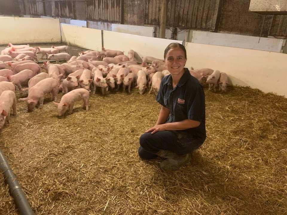 Calvin Horst tweet media