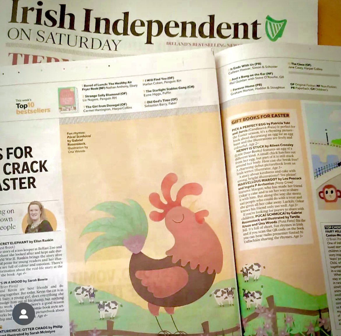 Thank you @sarahwebbishere for the gigantic and lovely feature of Púcaí Schmúcaí in today’s @Independent_ie 
Written by Gabriel Rosenstock, illustrated by @UnawoodsUna + myself

Available at @ansiopaleabhar 

📸 and published by @futafata

#leabhargaeilge #leabharasgaeilge