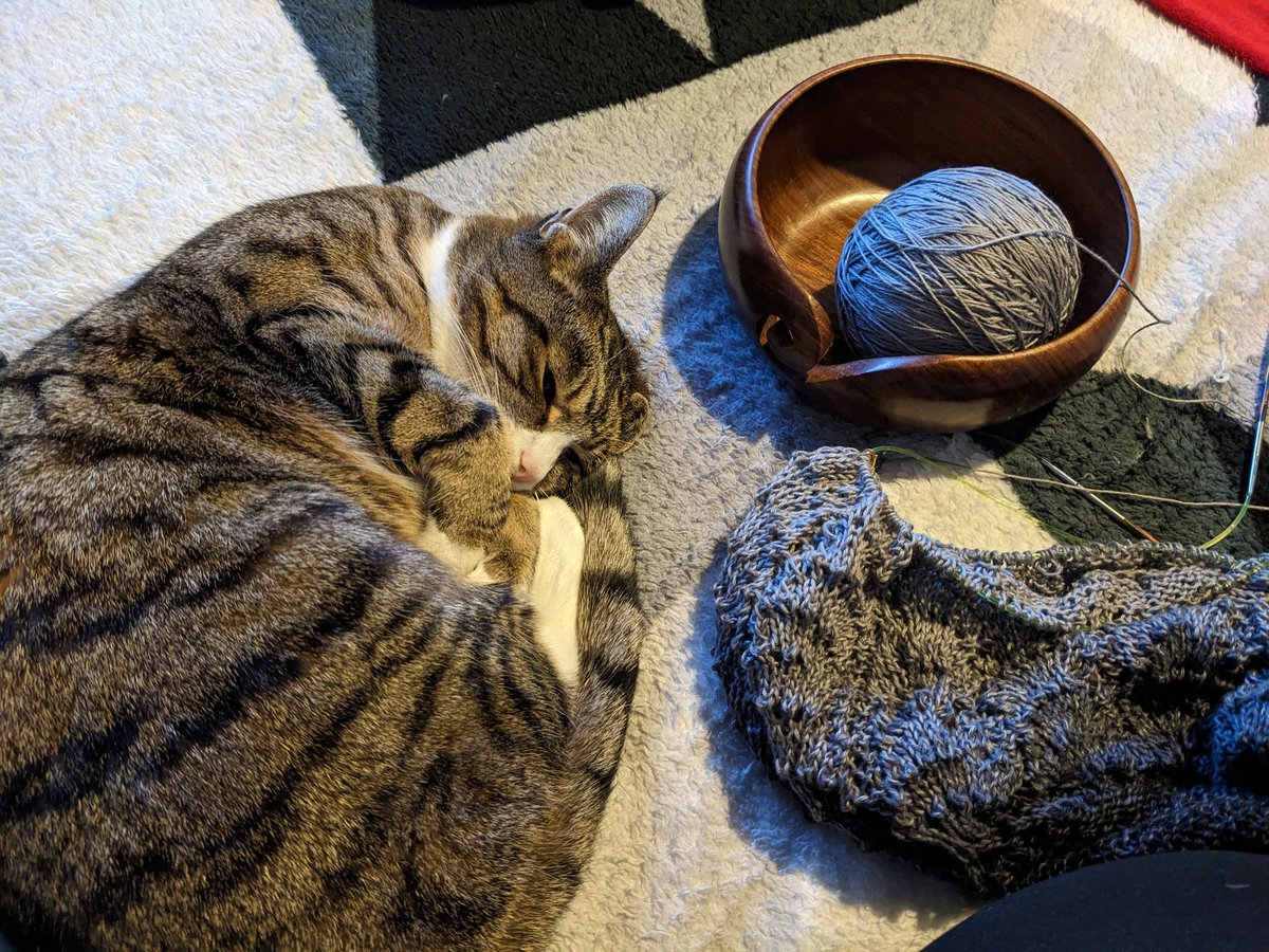 Always important to have a guard for your yarn bowl! (Knitting St Bees shawl by @EverydayKnitter with scheepjies whirl yarn) #KnittingTwitter #CatsOfTwitter
