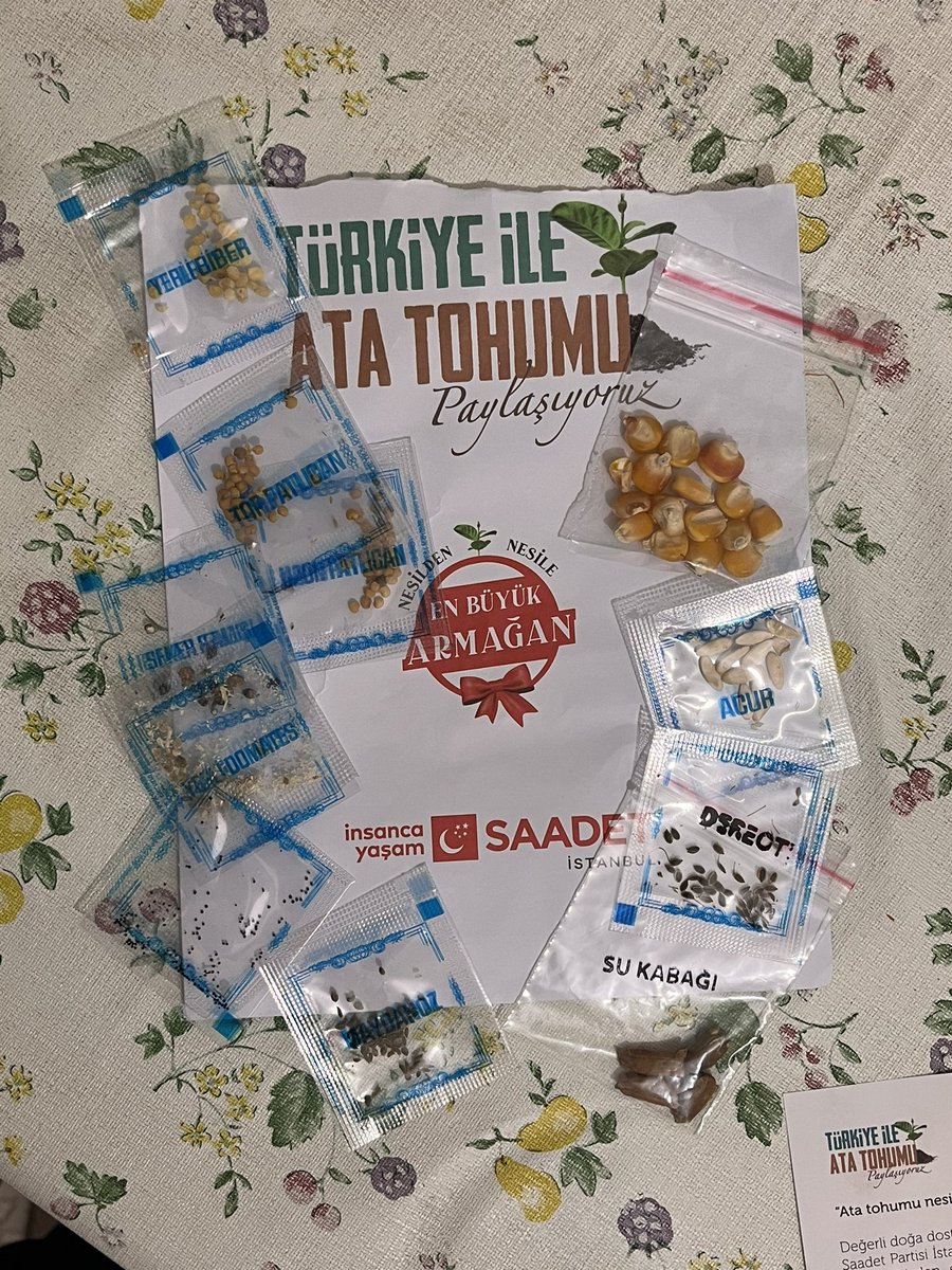 weewe's tweet photo. @SaadetPartisi  çok teşekkür ediyoruz. Harika bir iş yapıyorsunuz. Umarım tohumlarımız tutar da biz de nesilden nesile aktarmayı başarabiliriz ❤️ #atatohumu https://t.co/vOY6kyMXBI