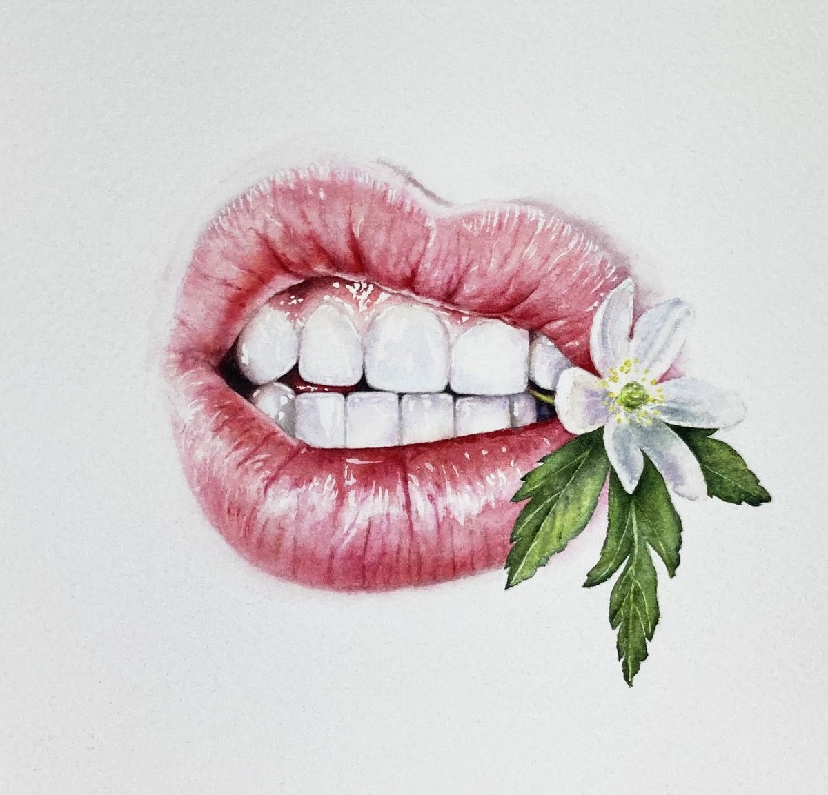In "Bite of Spring," a vibrant wood anemone is clutched tightly in a mouth, teeth piercing the delicate stem. The painting captures the essence of spring, with the emergence of new life and the urge to bite down and taste its sweetness. #Watercolour