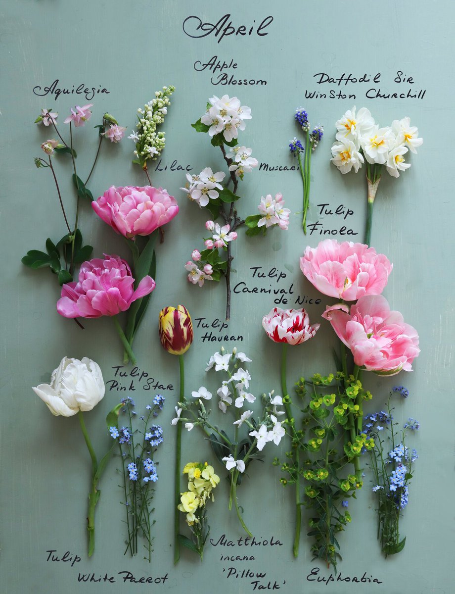 Happy 1st of April! Flowers from my garden.