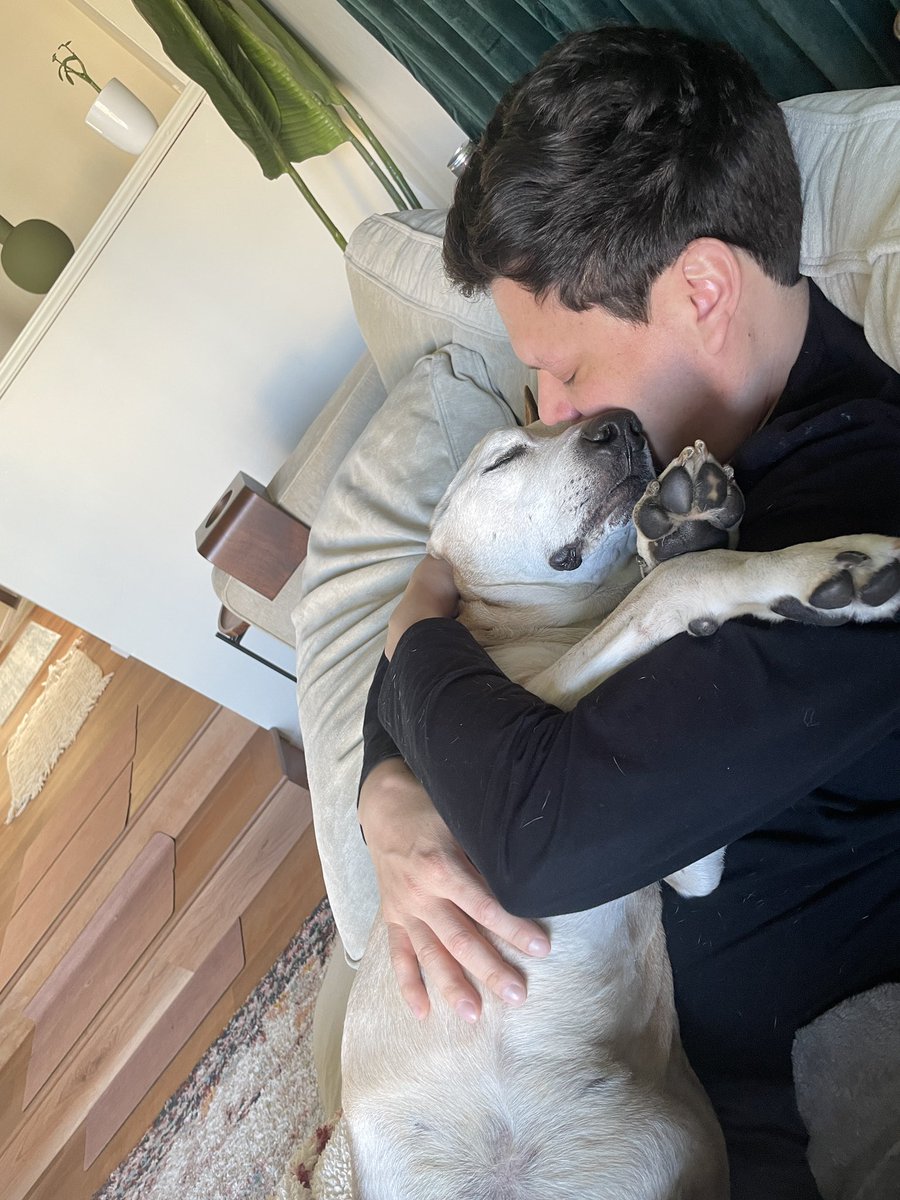 megsraye's tweet photo. There is a void in my heart that will never be filled. Rocco was the goodest boy there ever was. Rest easy pumpkin. 😭💔 https://t.co/Cvsh3NA6OS