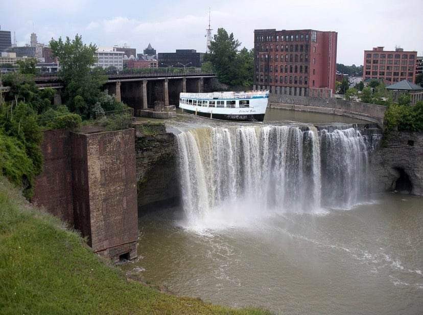 ColonialBelle tweet media