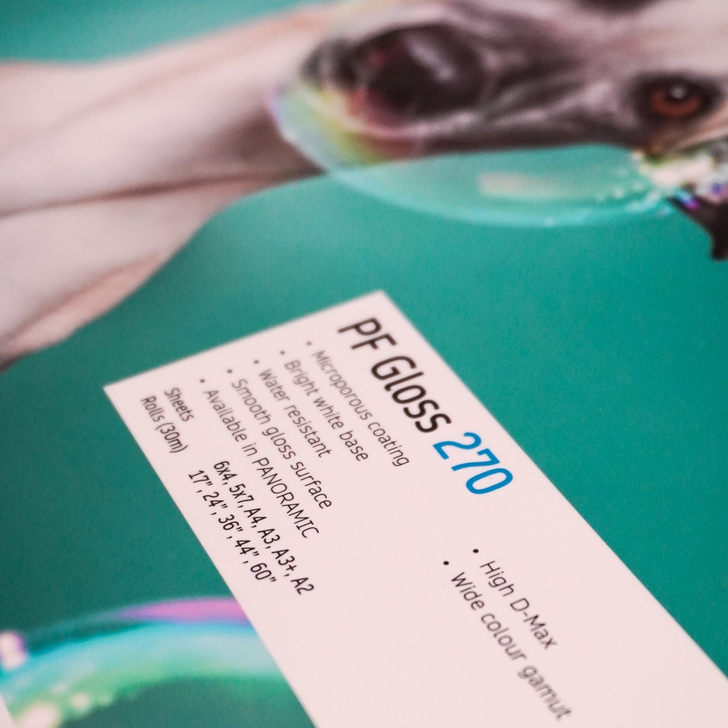 Fotospeed's tweet photo. Looking for something a little more glossy to give your images pop! Check out the Fotospeed PF Gloss 270! ☝️
Read more about the paper - https://t.co/Iat83firx9
#happyprinting
#foreveryprint #powerofprint #pfgloss #glosspaper #fotospeed https://t.co/VTYnIJB221