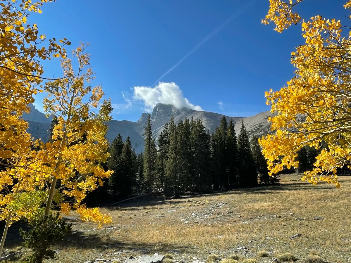 aspenfoxtracks's tweet photo. Great Basin National Park: Spectacular Alpine & Cave Gem
https://t.co/7t3LKMD9NZ
#nationalpark #hiking #hikenevada #FindYourPark #radparks #optoutside #lifeofadventure #theoutbound #westbysouthwest #ParkChat #outside_project #adventureculture #nationalparklife #nationalparkgeek https://t.co/O4e4Ws9Fye