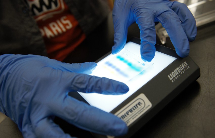 ABEProgOffice's tweet photo. Want a kit of research-grade #biotech equipment and supplies for your students? Find an @Amgen #BiotechExperience program site near you for professional development opportunities and access to this exciting program! https://t.co/Taxr8twVHv https://t.co/pyHU5PSqz4