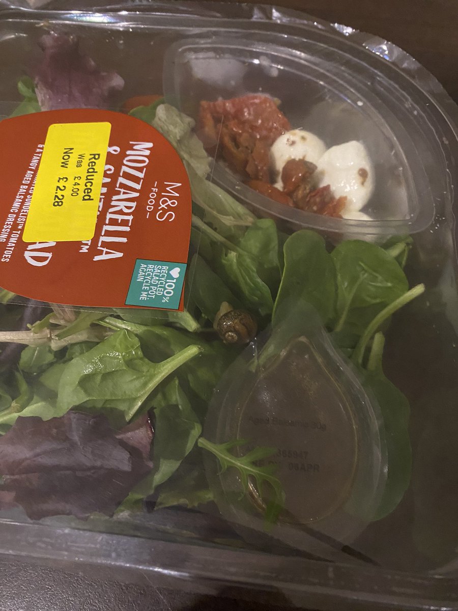 SBuD2's tweet photo. @marksandspencer - a bit of extra protein in our salad tonight! 🐌🐌

Bought this afternoon in M&amp;S in Merthyr Tydfil, just taken out of fridge ready to serve and noticed our new friend! 🙈🙈

#snailinsalad #snailtrail https://t.co/GpaAfEb6VQ